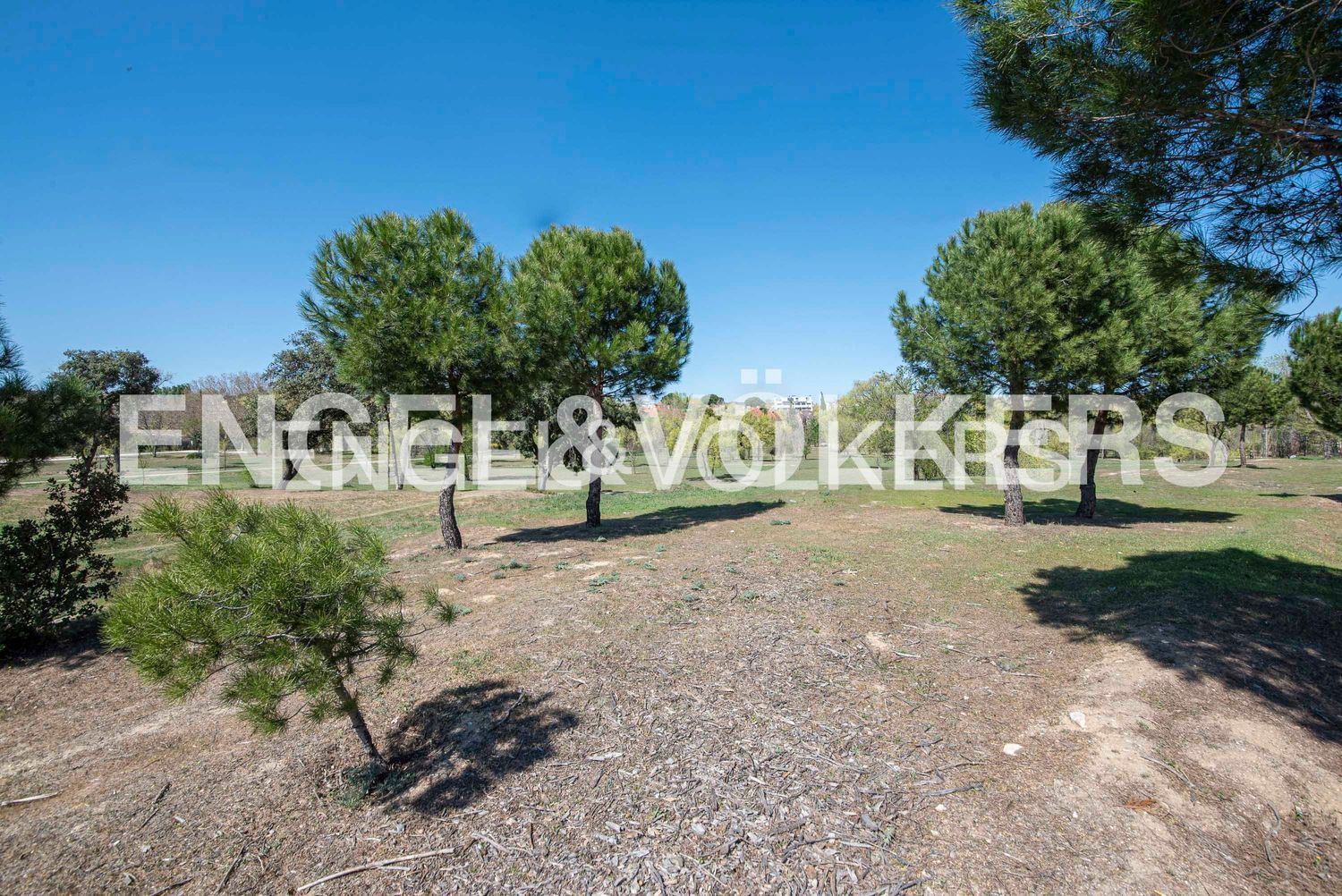Piso en Prado de Somosaguas, Prado de Somosaguas - Foto 13