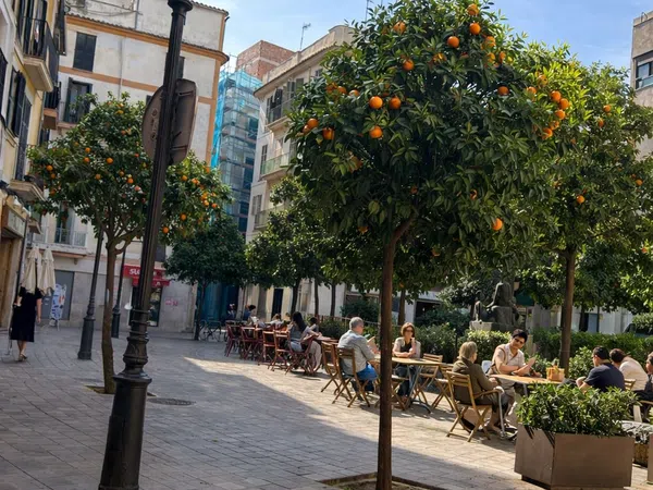 Dúplex en calle de la Quartereta, 6 - Foto 21