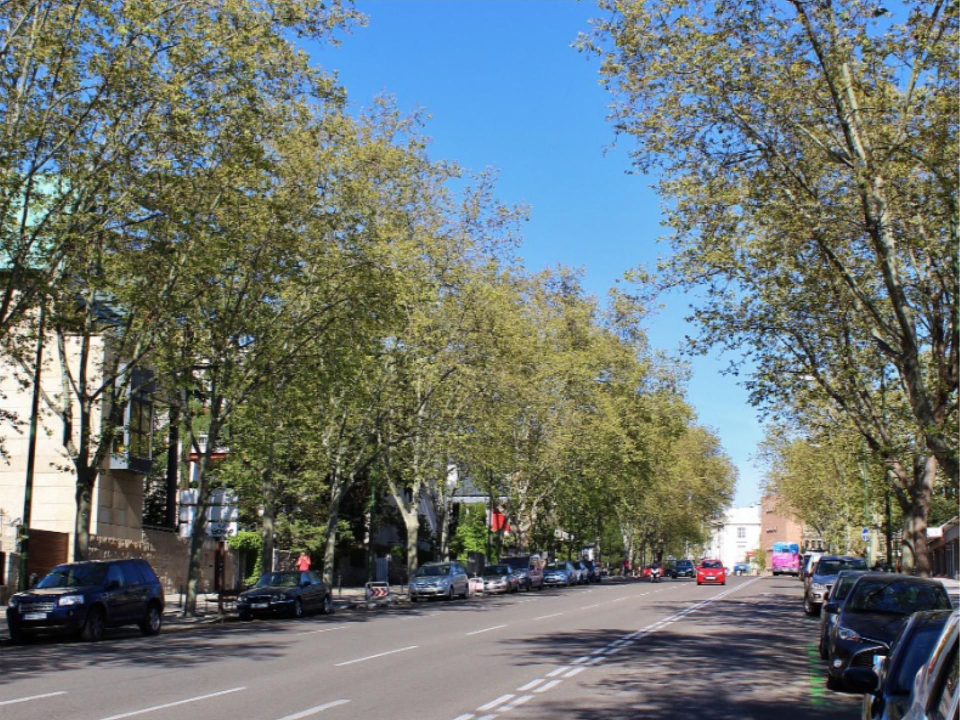 Piso en  Avenida del Doctor Arce 6 - Foto 1