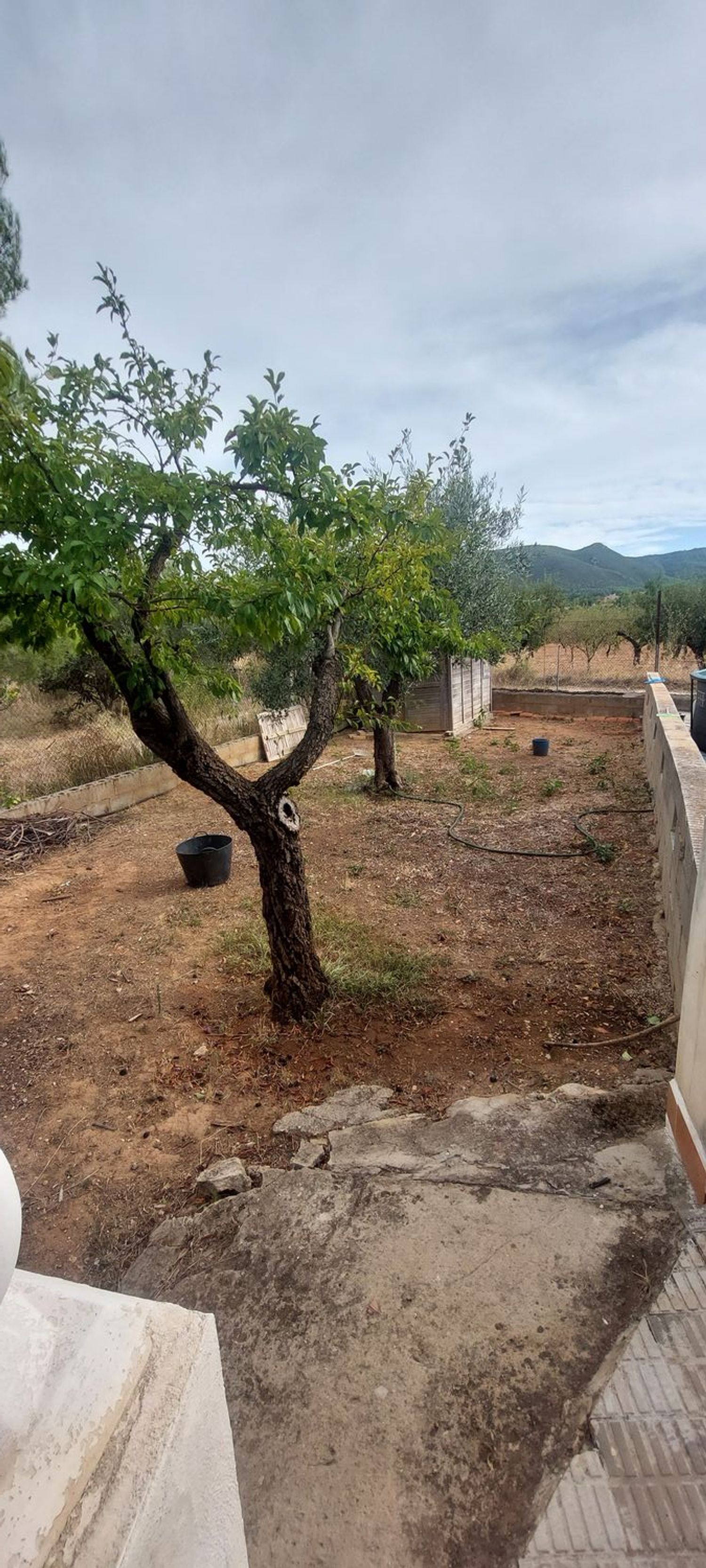 Casa rural en Calle Incolla, 8 Poligonoparcela, Centro, Centro - Foto 21