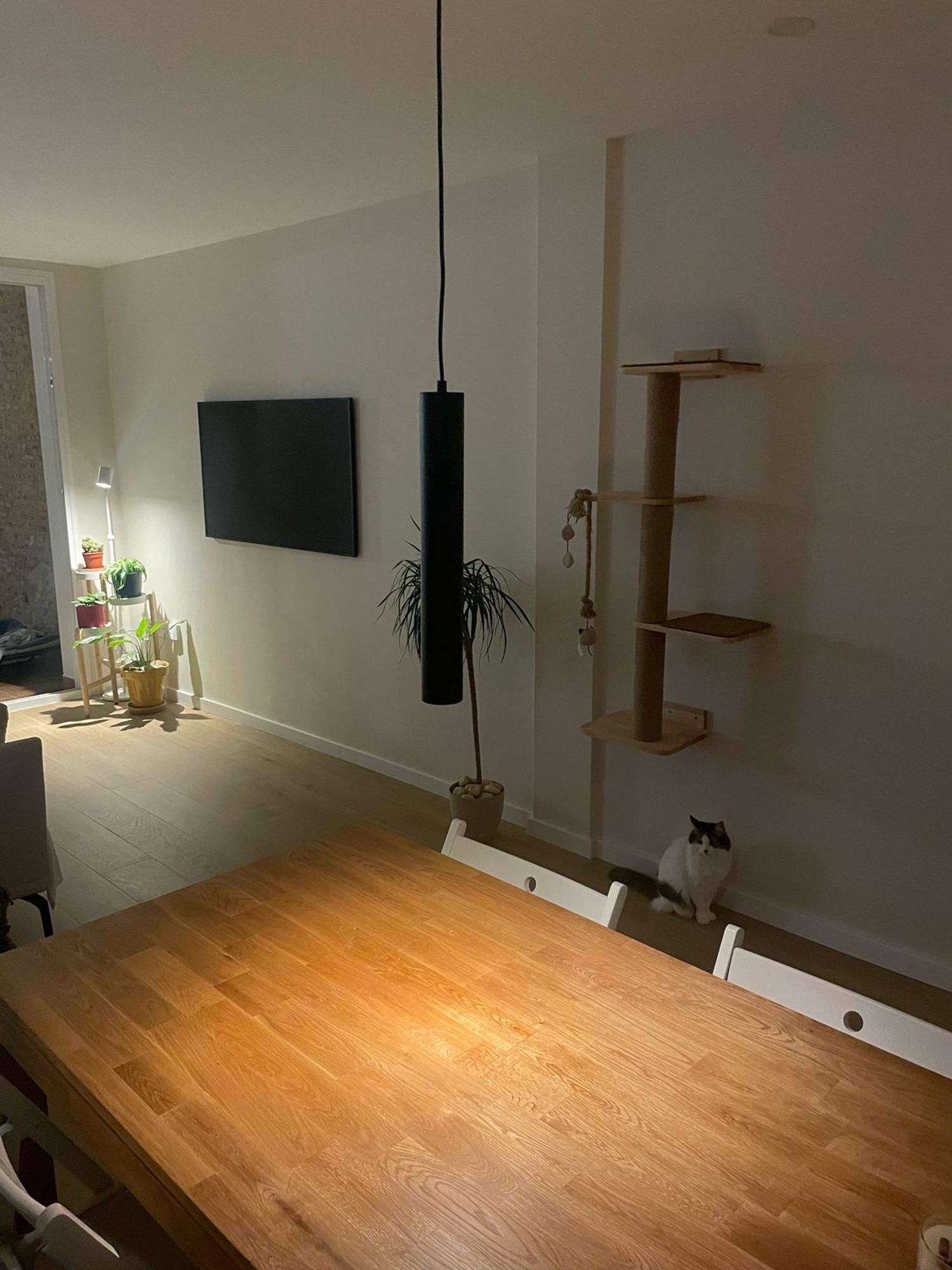 Piso en Redes, 43 - Foto 4