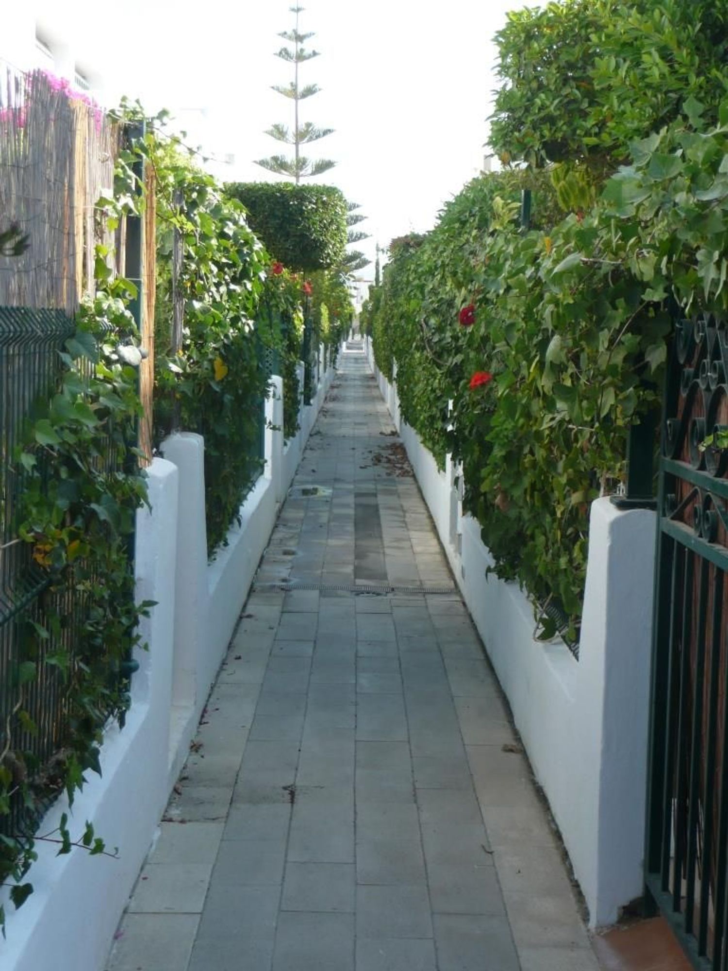 Dúplex en Calle Nuñez de Balboa, 79, Las Marinas, Las Marinas - Foto 5