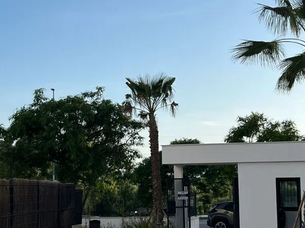 Piso en Puertosol - Santa Isabel - Foto 3