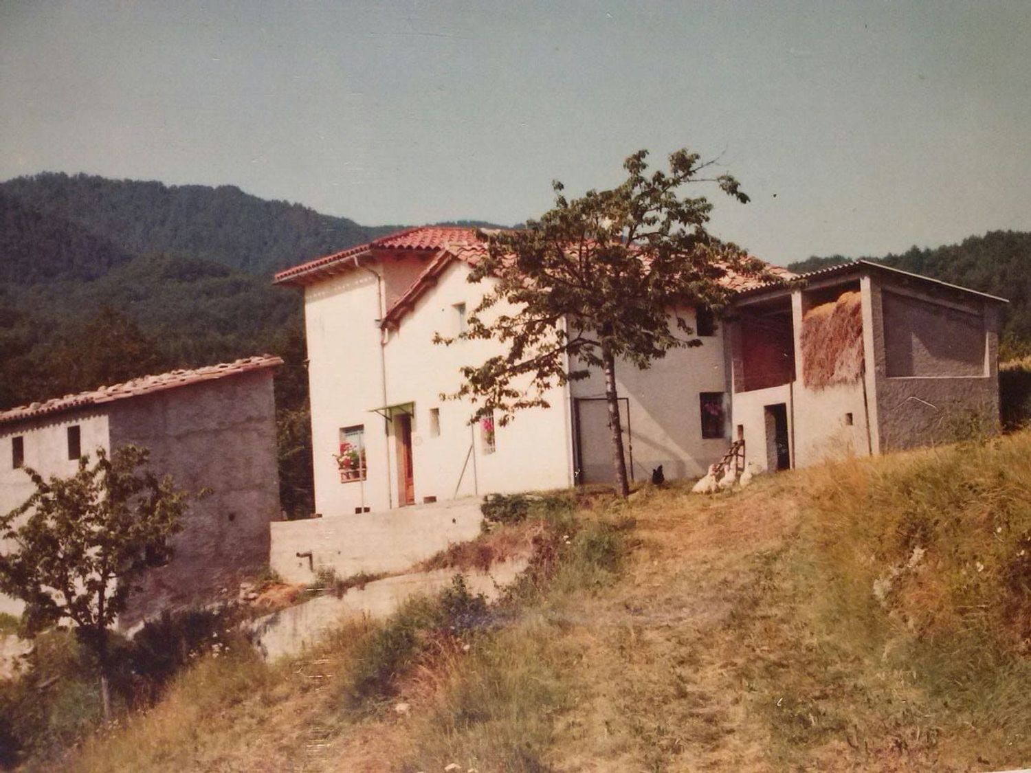 Finca rústica en Carretera de Ribes s/n - Foto 4
