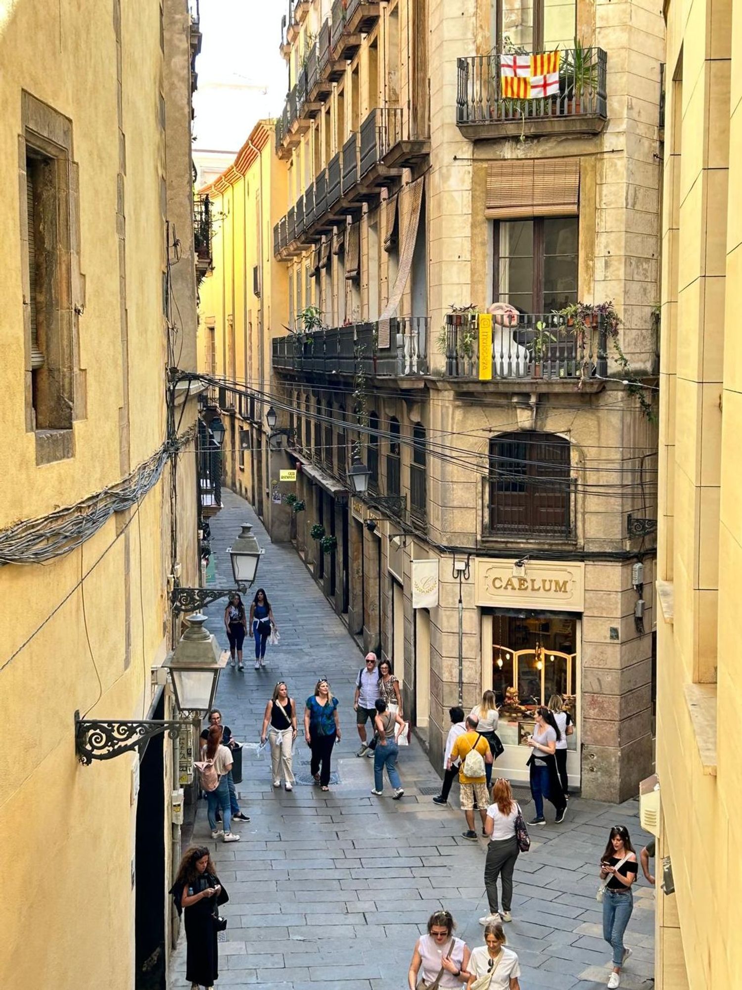 Piso en Gotic s/n, El Gòtic - Foto 17