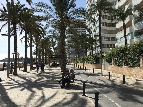 Piso en Avenida de Niza, 2, Playa de San Juan - Foto 27