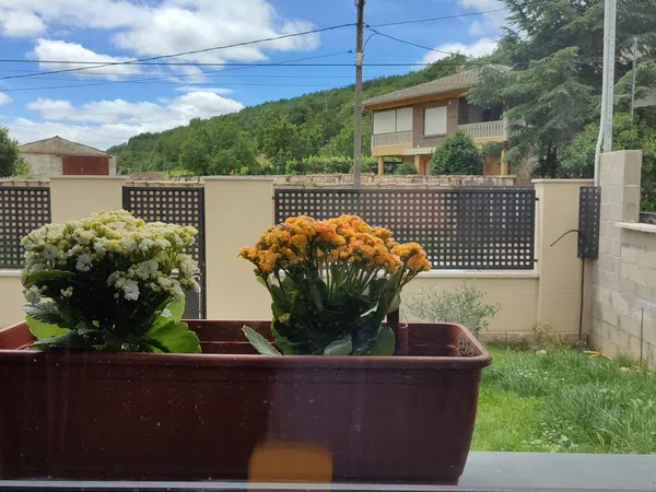 Casa o chalet independiente en Calle Crescencio Fernández s/n - Foto 15