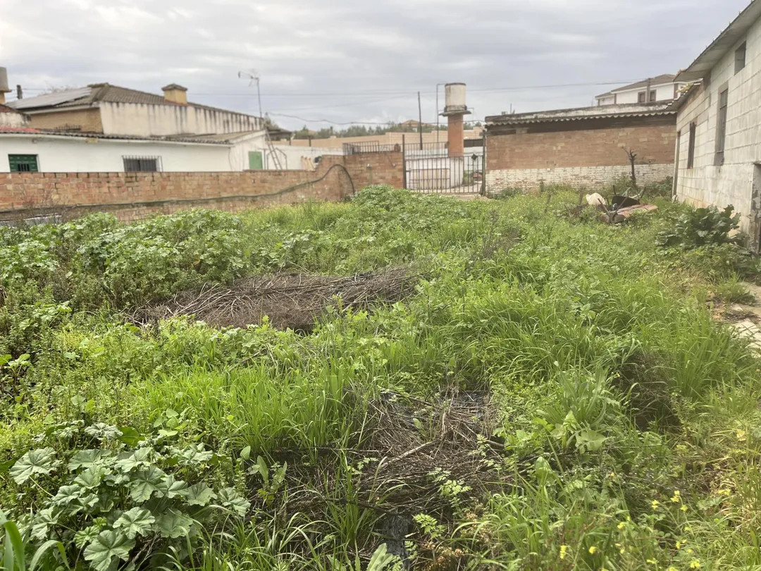 Finca rústica en  Urbanizacion Campiñuela Baja 6 - Foto 17