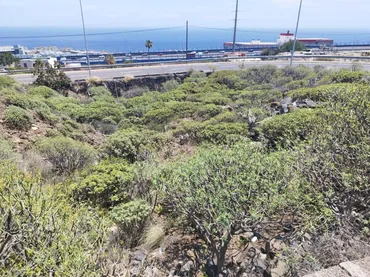Terreno Residencial en  Carretera Santa María del Mar 20 - Foto 15