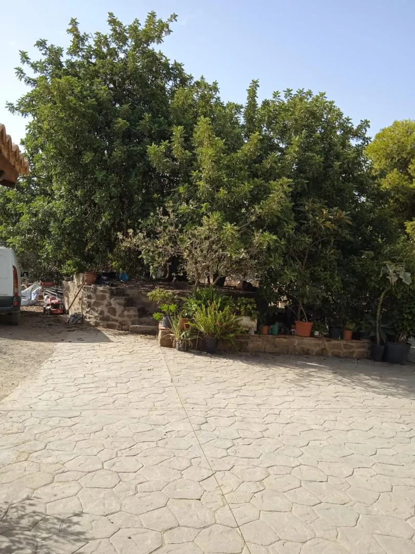 Finca rústica en  Calle Atlántida 242 - Foto 8