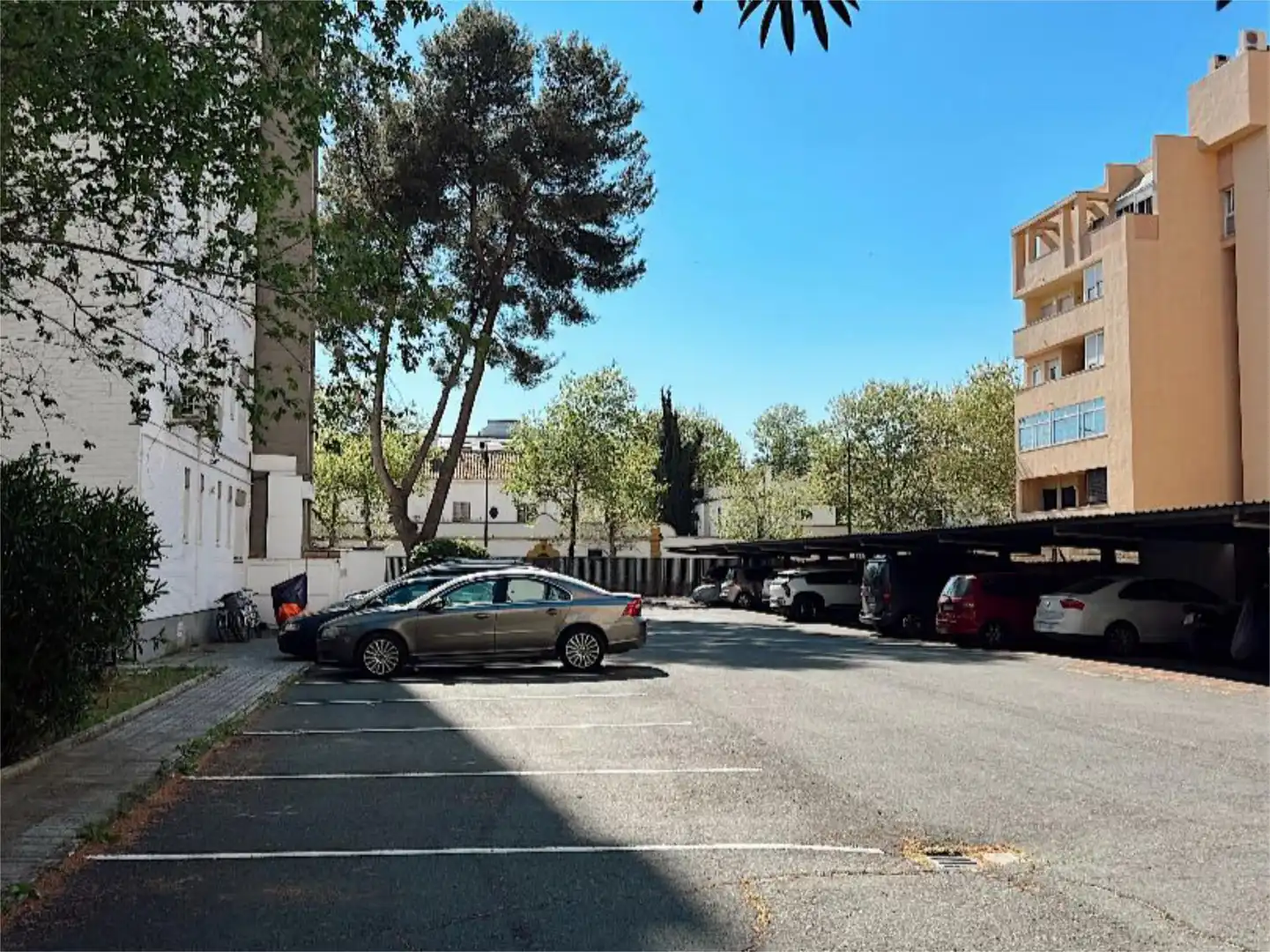 Piso en  Calle Gustavo Gallardo 1 - Foto 36