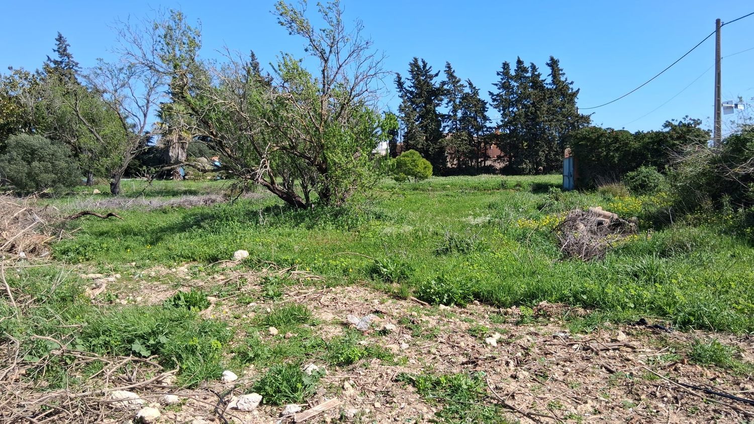 Casa independiente en calle Verbana, 40 Sn - Foto 17