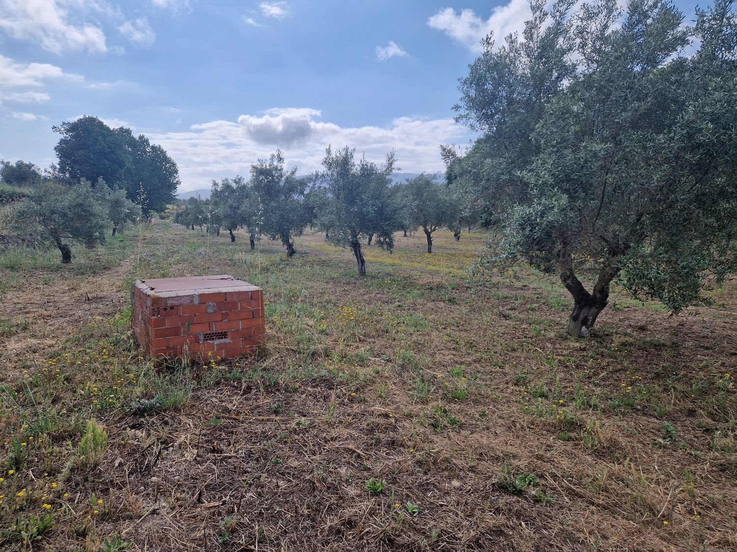 Finca rústica en Calle l'Alqueria d'Asnar, 3 - Foto 3
