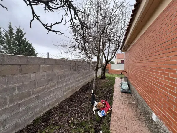 Casa independiente en avenida de Chiloeches, 45 - Foto 13