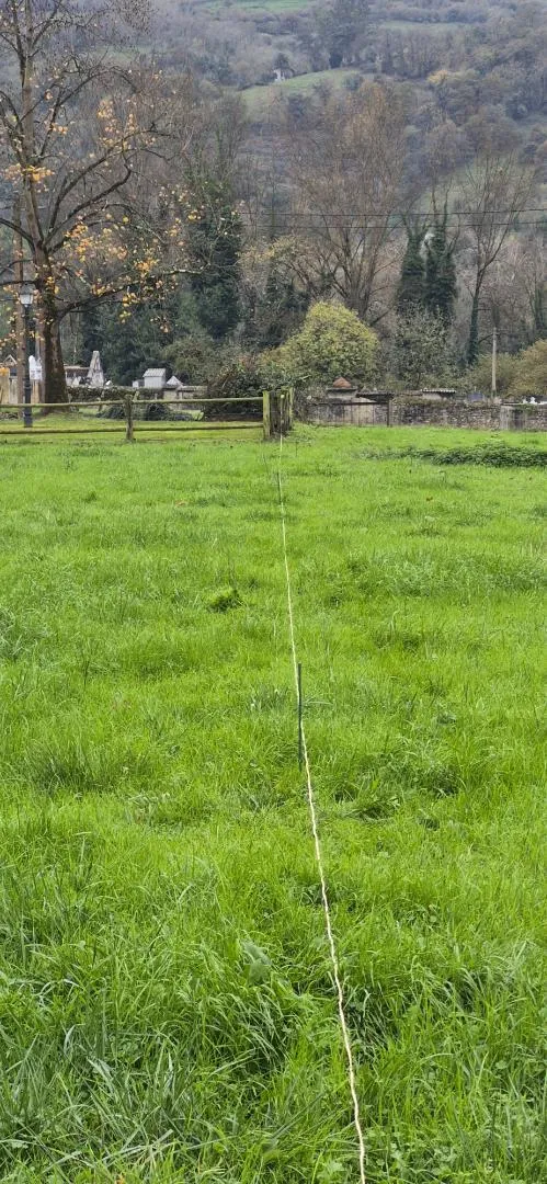 Finca rústica en  Lugar Godos 9 - Foto 9