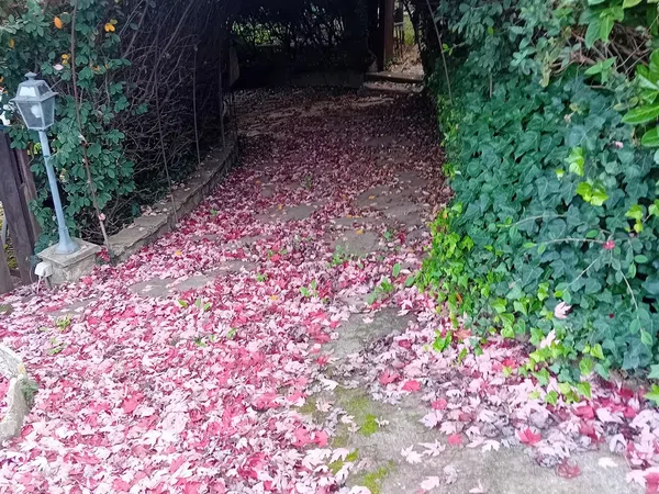 Casa de pueblo en Fontal, 5 - Foto 16