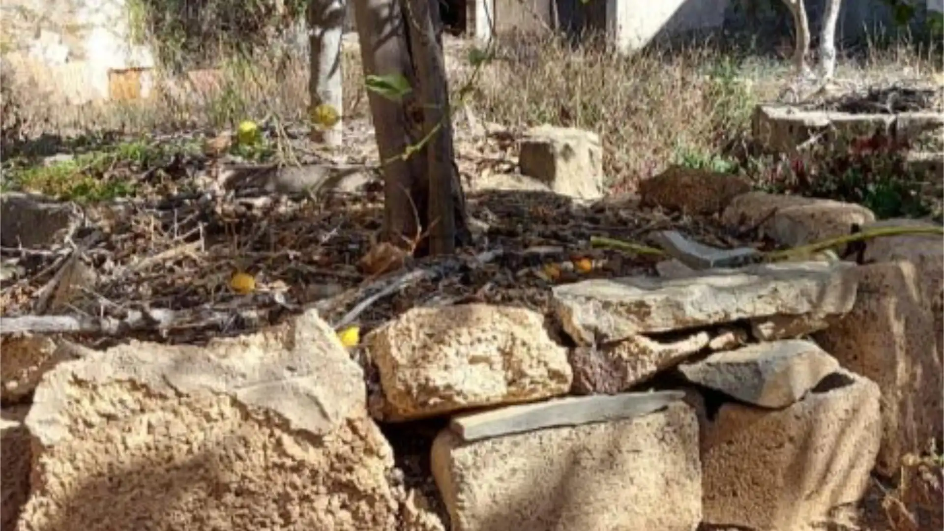 Piso en  Calle de La Iglesia 6 - Foto 20