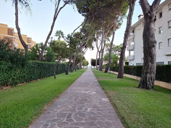 Piso en Calle Bisbe Serra, 5, Voramar, Voramar - Foto 20