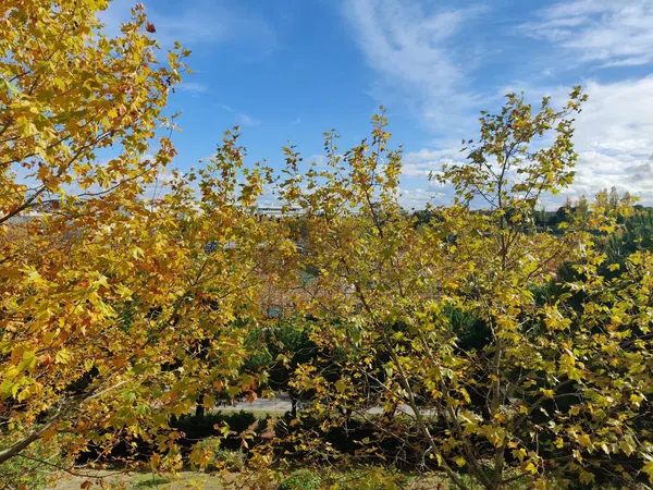 Dúplex en Sector Foresta, 14 - Foto 24