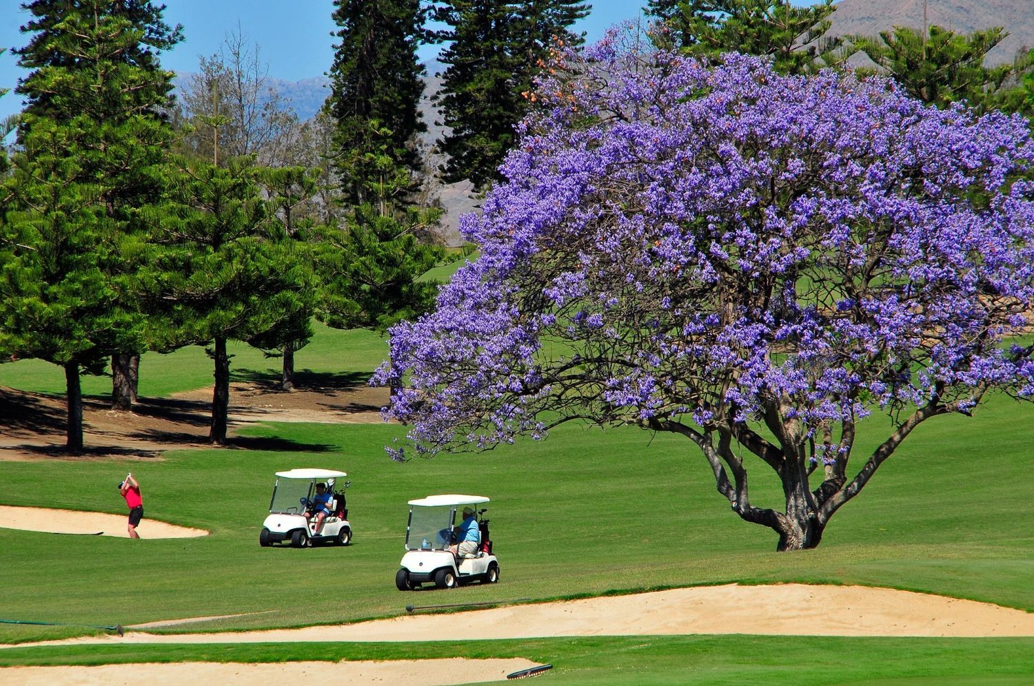 Piso en Calle Ciprés de Mijas Golf, 4 b, Mijas Golf, Mijas Golf - Foto 12