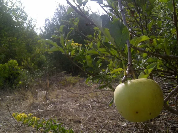 Casa independiente en camino de Melilla s/n - Foto 15