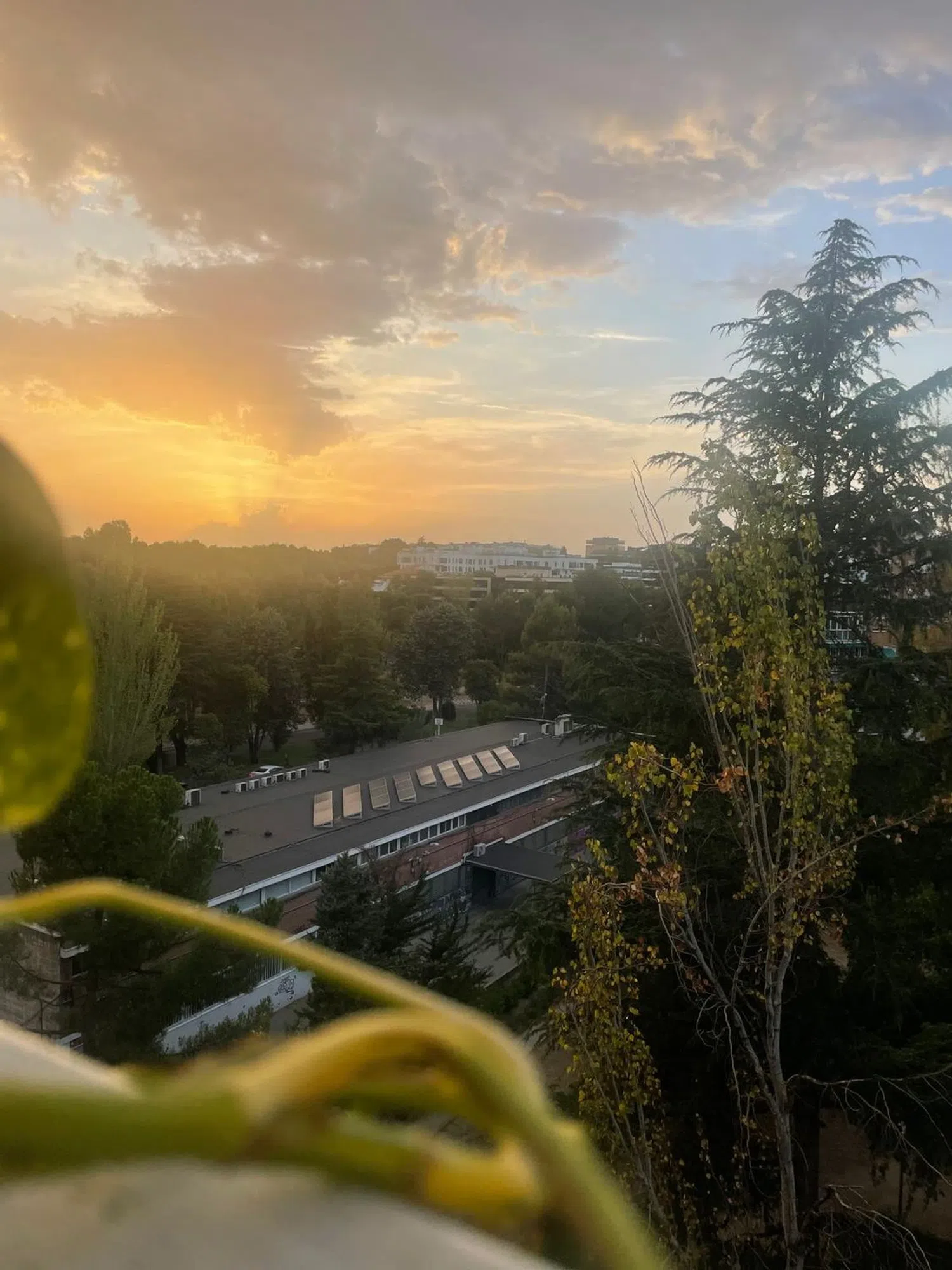 Piso en Barrio Salvador - Foto 26