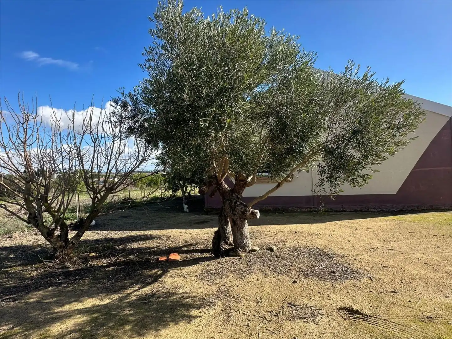 Chalet en  Calle Martín Jiménez 4 - Foto 12