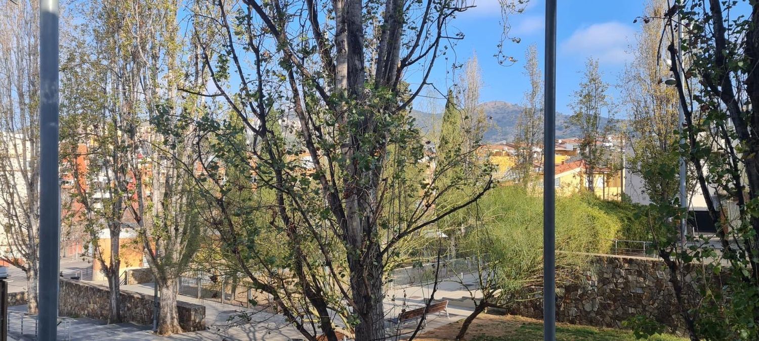 Piso en Riera Alta - Llatí - Foto 7