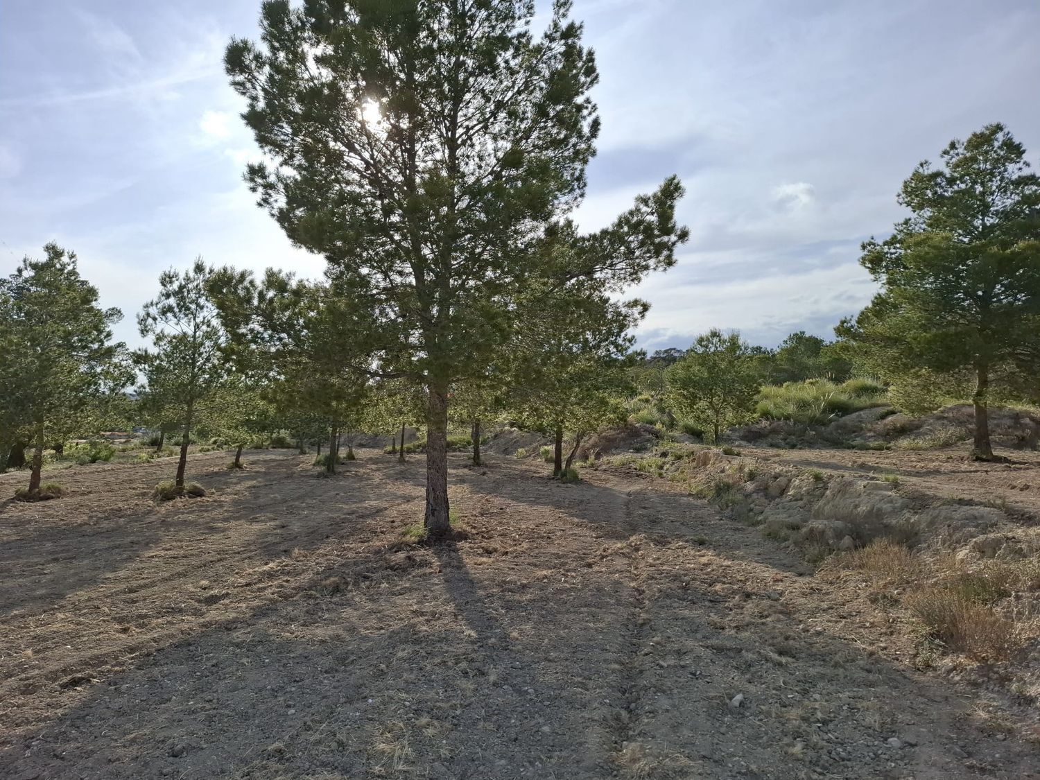 Casa rural en Ptda El Espino s/n - Foto 15