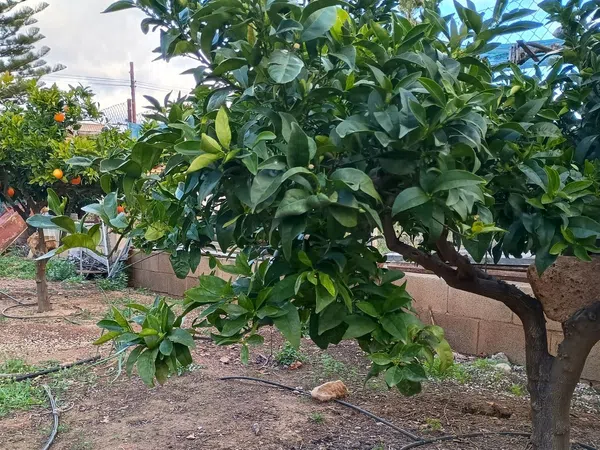 Casa independiente en Urb. rio park Valle del Sol - Rio Park - Foto 31