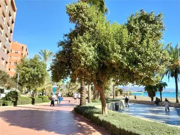 Estudio en Parque Mediterraneo - Foto 5
