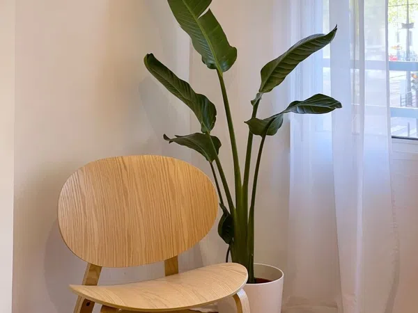 Piso en Calle d'Alboraia, 65, Trinitat - Foto 27
