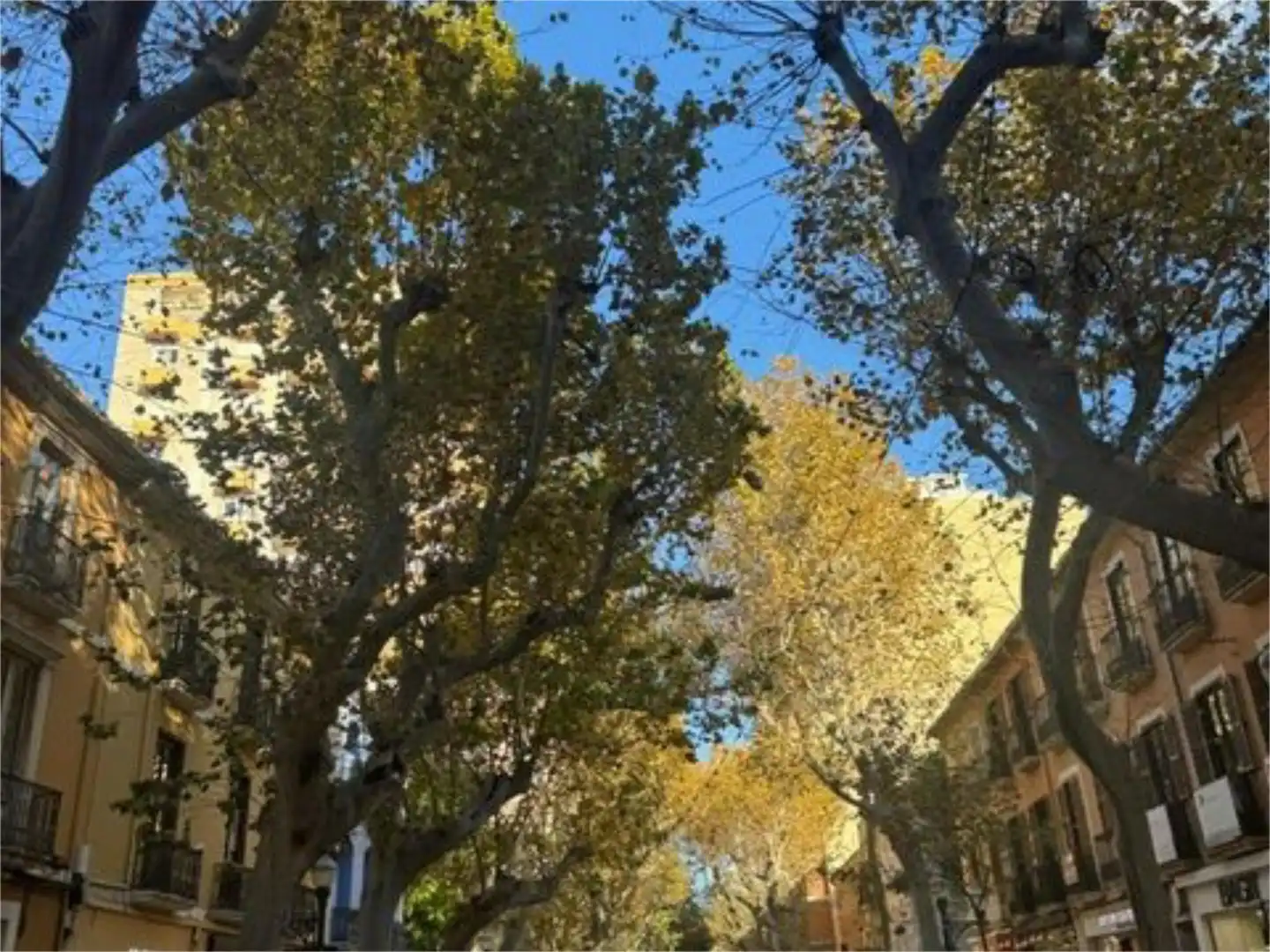 Piso en  Carrer del Cop 3 - Foto 2