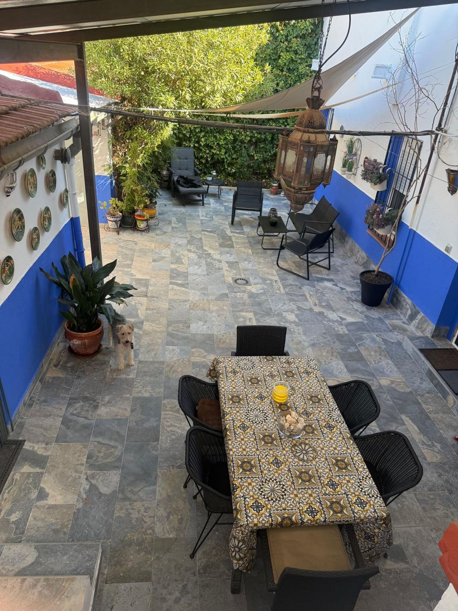 Casa o chalet independiente en Calle Menendez Pelayo, 16 - Foto 3