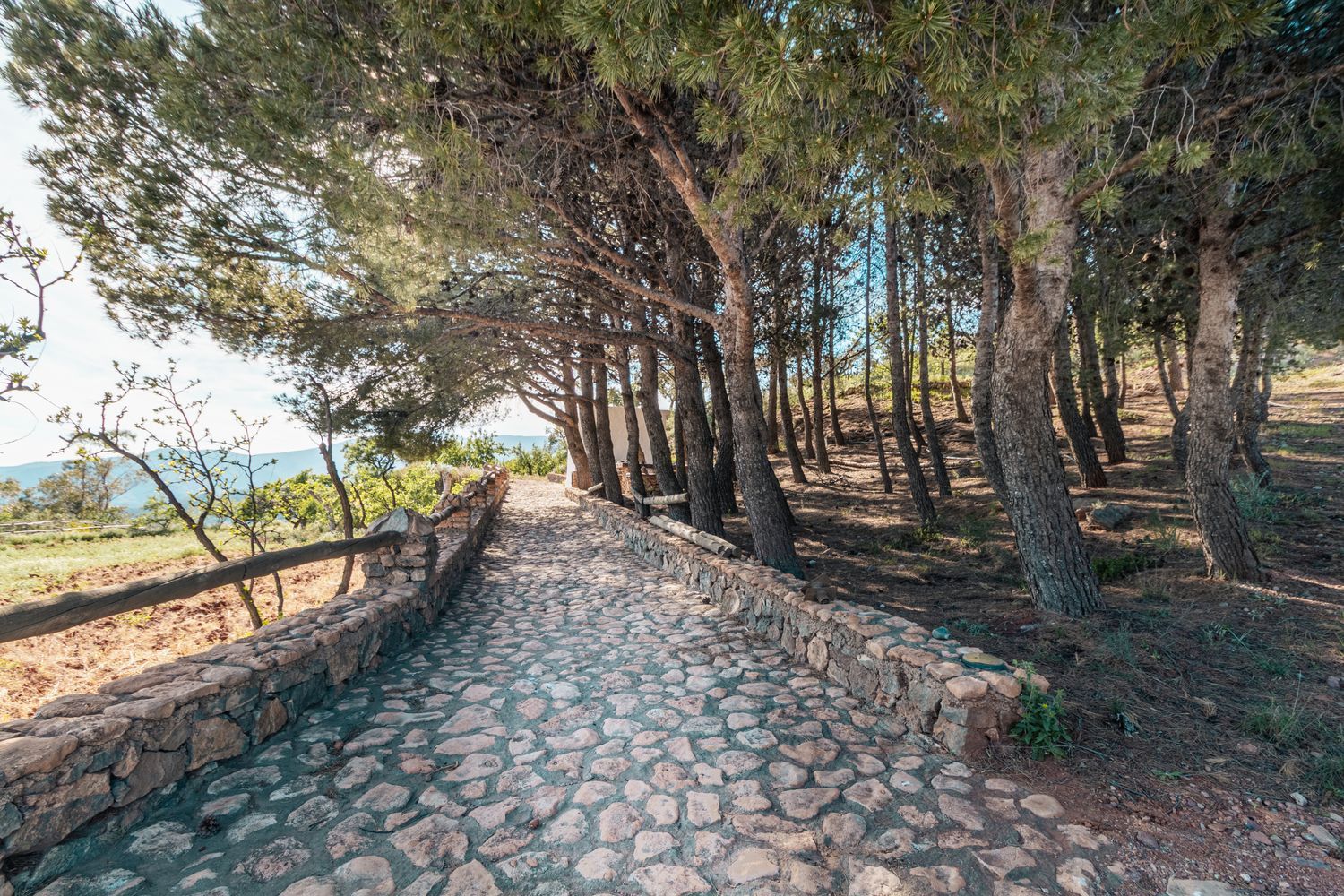 Cortijo en Pista Forestal Felix s/n - Foto 23