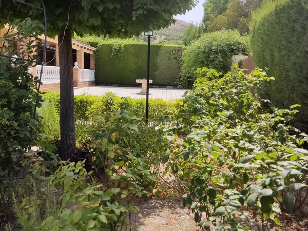 Casa o chalet independiente en Puente Jontoya, Jaén, 3200 - Foto 13