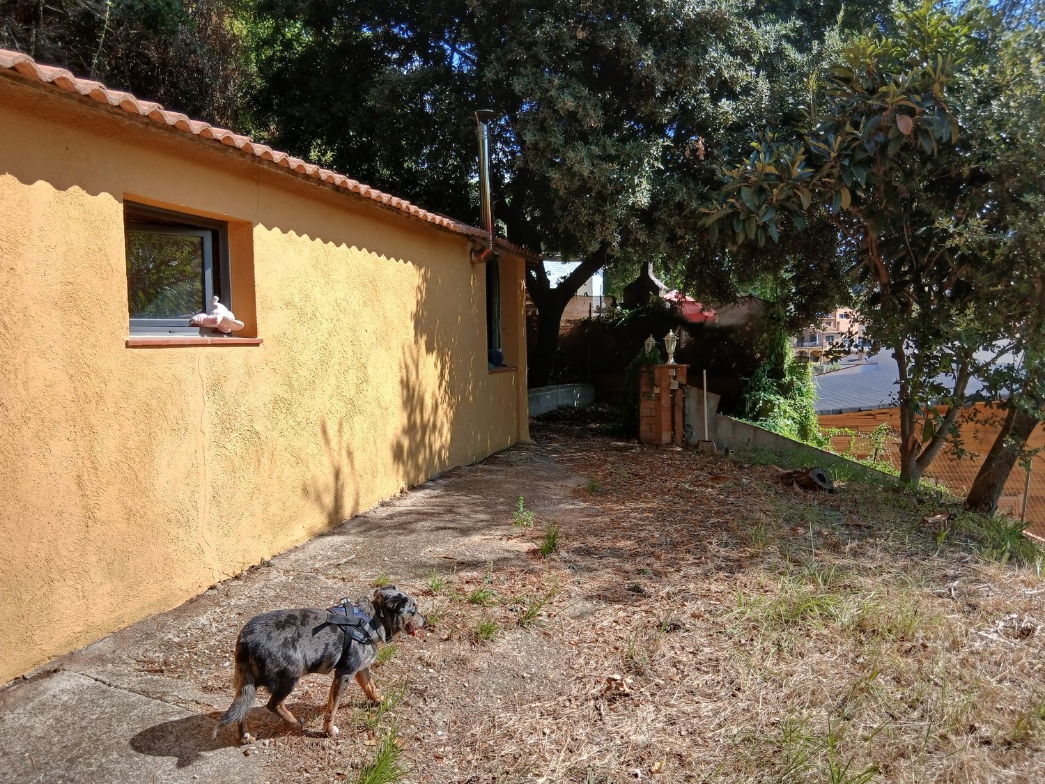 Casa o chalet independiente en Calle de Vallserena, 37 - Foto 17
