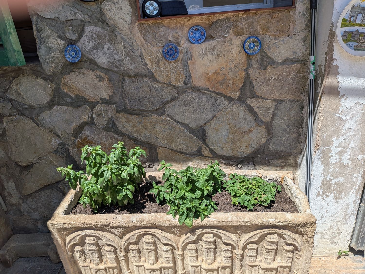 Chalet adosado en Calle de Jordi Martí Rosselló, 8, Camp Redo - Foto 36