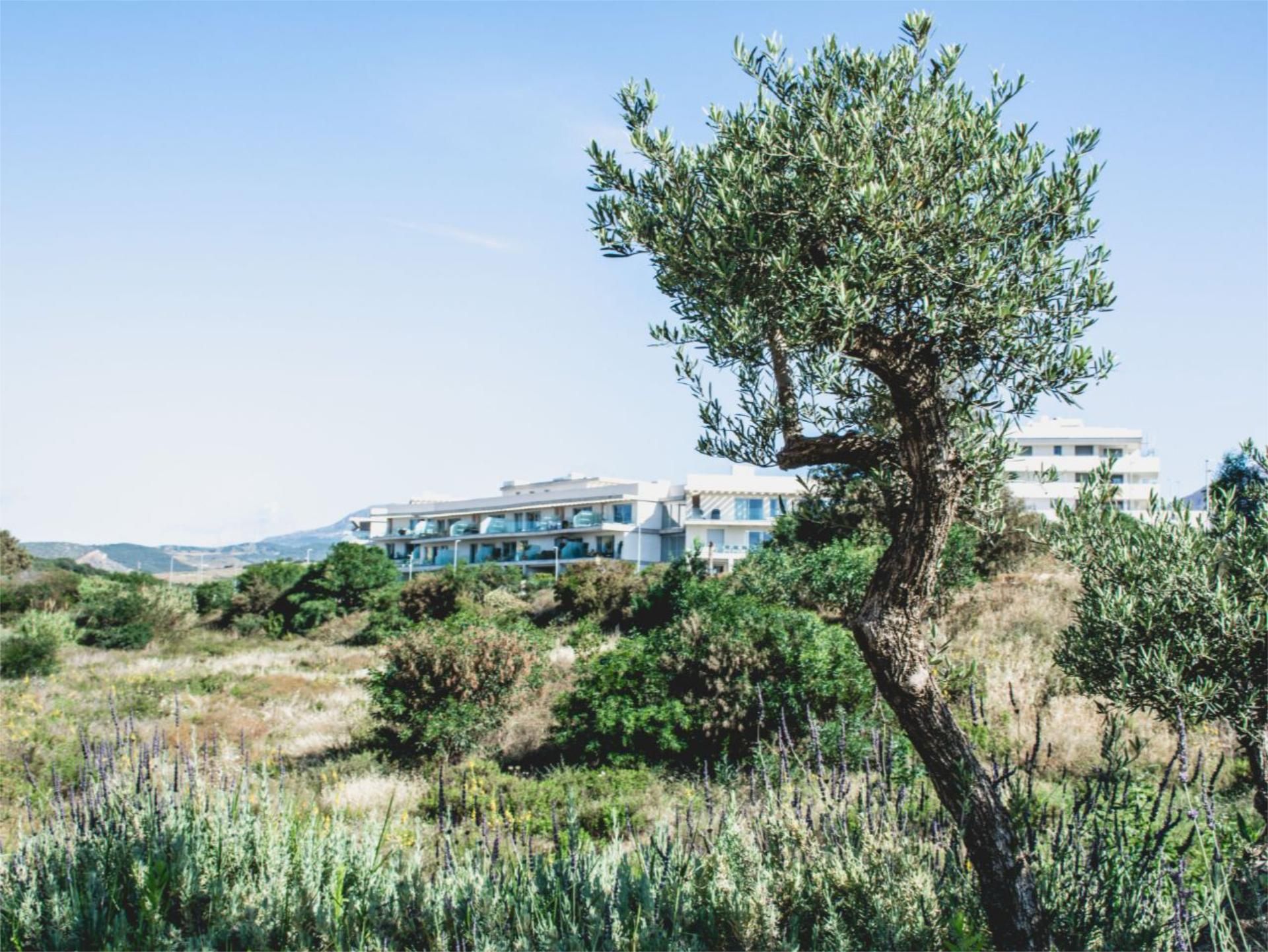 Piso en  Calle Copa Ryder 22 - Foto 15