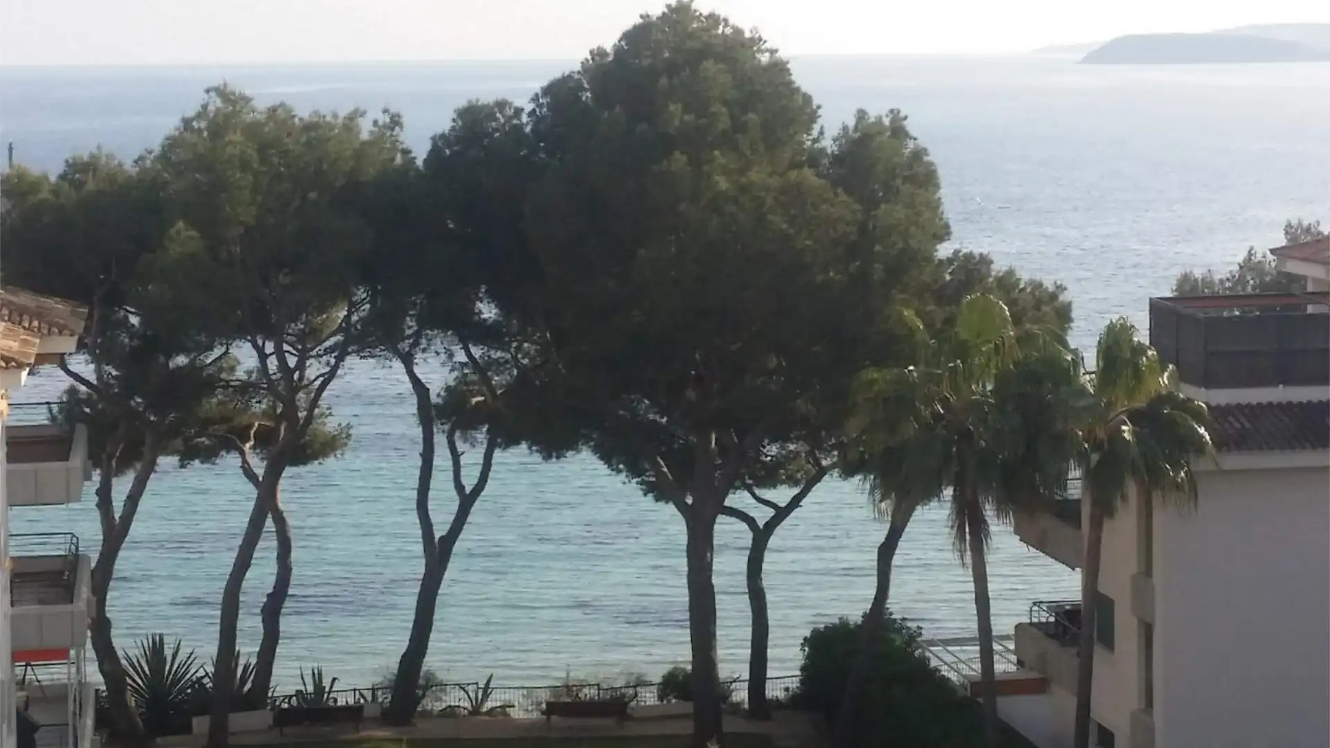 Ático en  Carrer Garcilaso de la Vega 5 - Foto 1