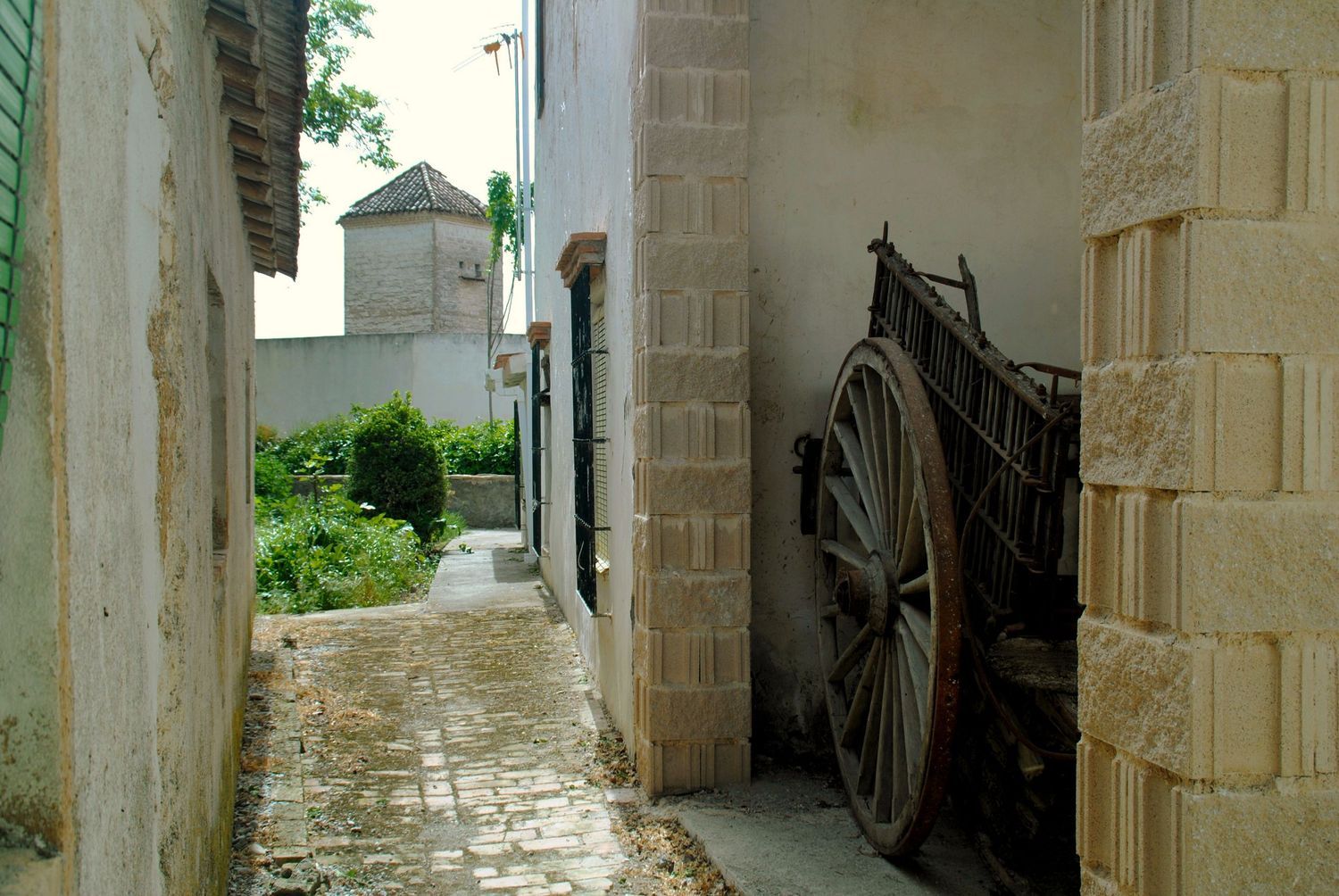 Cortijo en Calle Molino, 1 - Foto 14