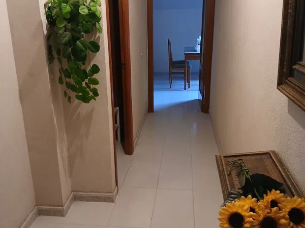 Piso en Calle Escultor Coomonte, 1 - Foto 3