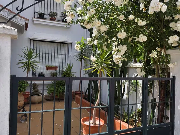 Chalet adosado en Calle Anís Cuatro Gatos, 3 - Foto 3