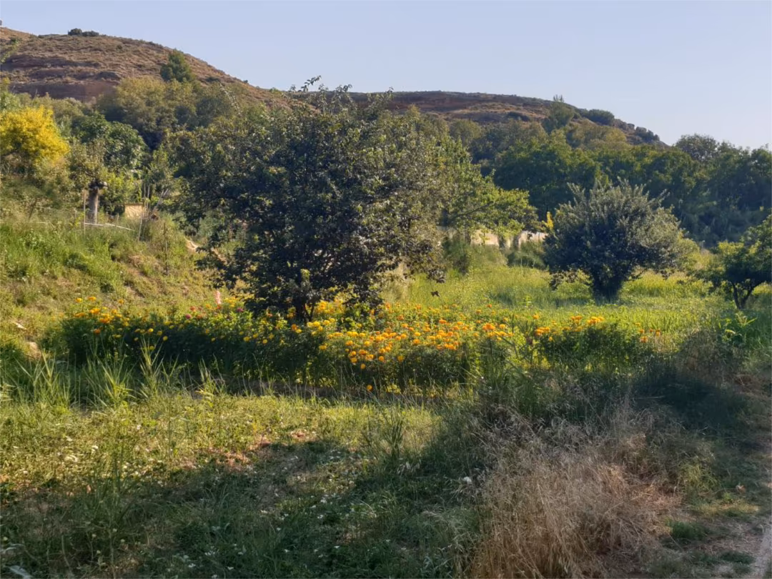 Chalet en  Calle de Serrano 200 - Foto 13