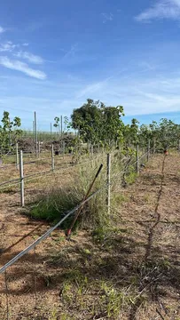 Finca rústica en avenida Avinguda del Cid 112 - Foto 11