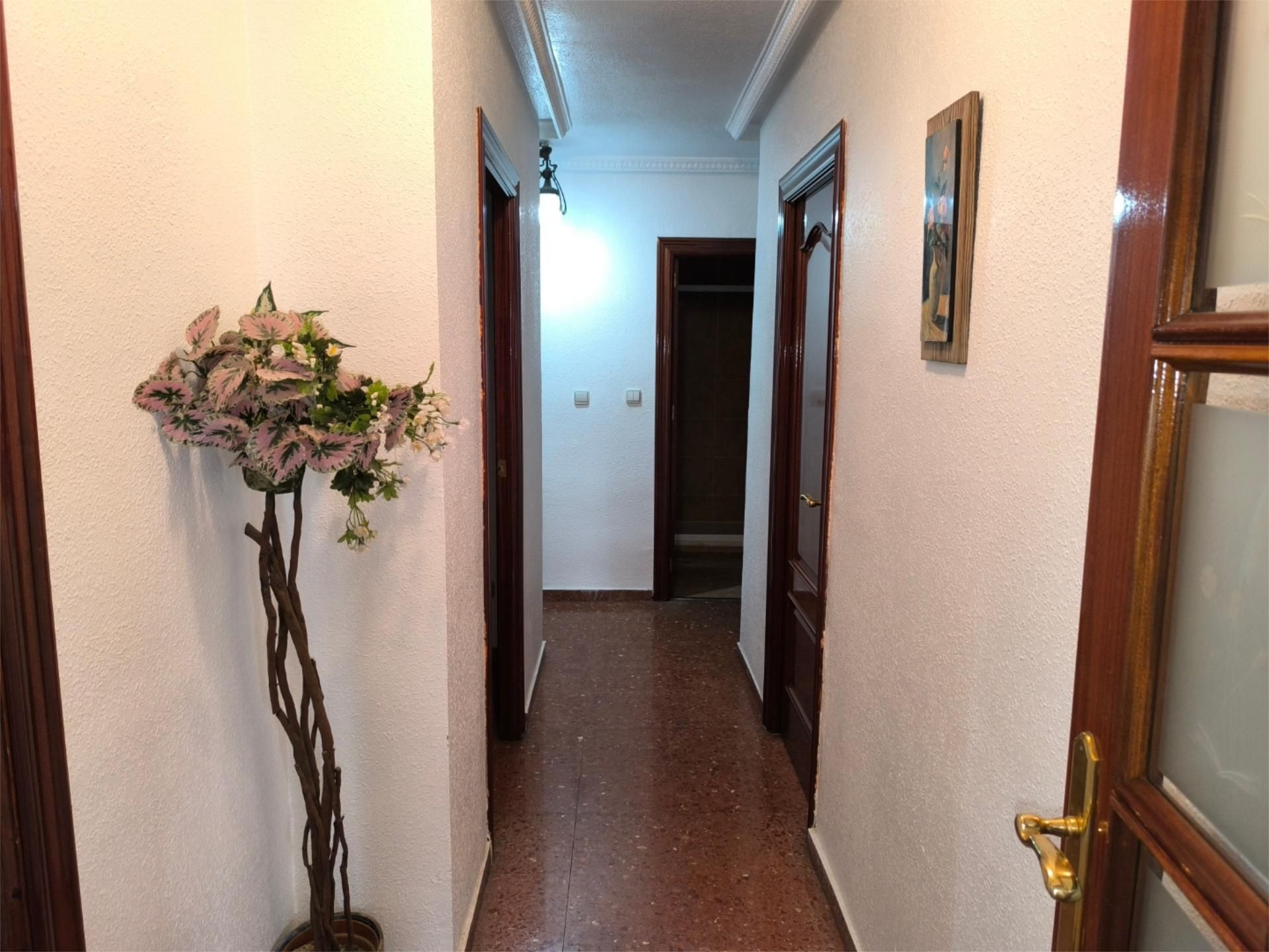 Piso en  Calle Profesor Francisco Dalmau 11 - Foto 4