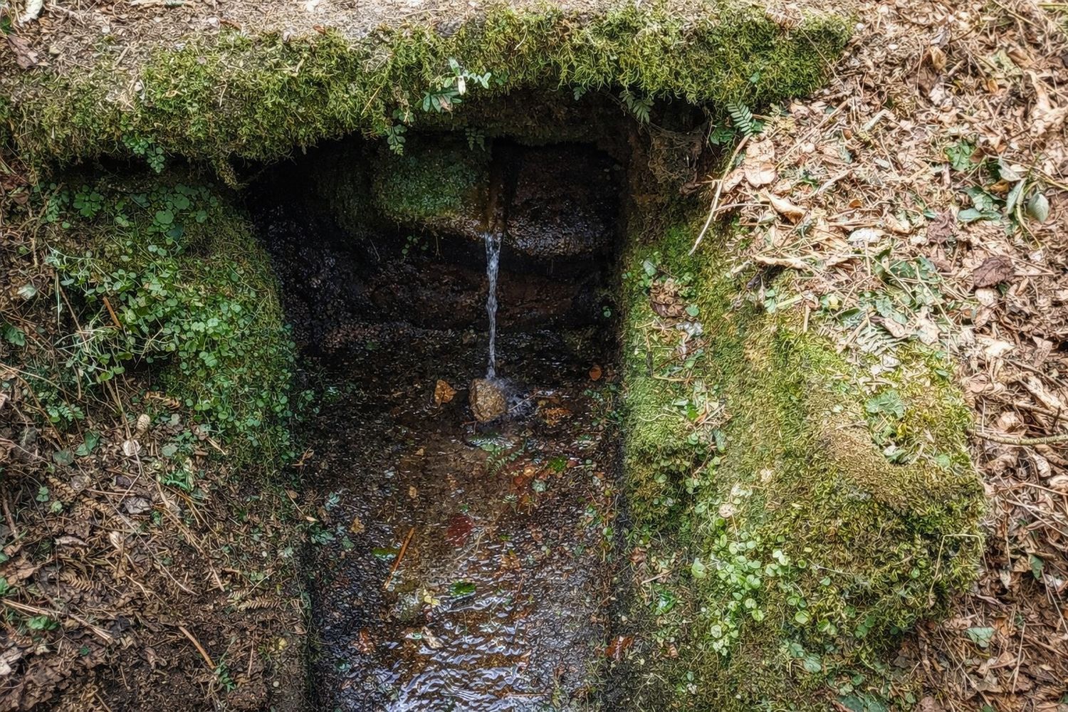 Casa rural en Raxas, 1 - Foto 6