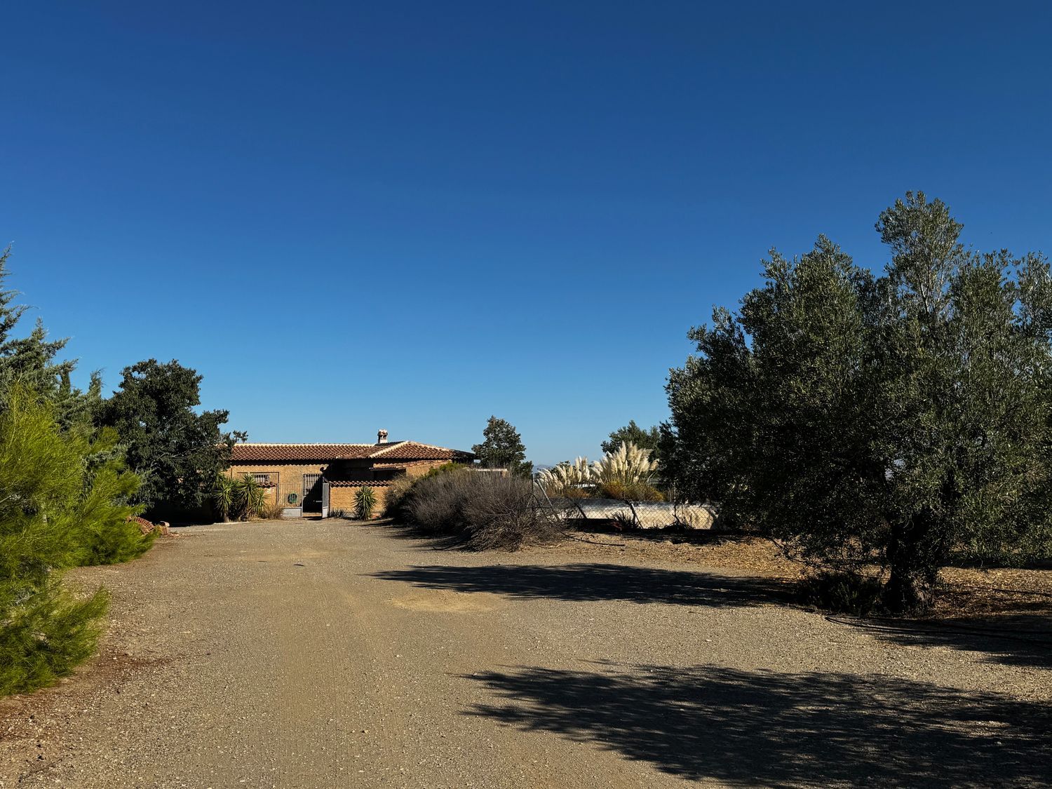 Finca rústica en Arroyo de la Calera 18152 s/n - Foto 24