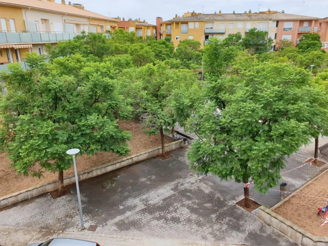 Piso en  Carrer Rafael Cifre Vila 6 - Foto 24