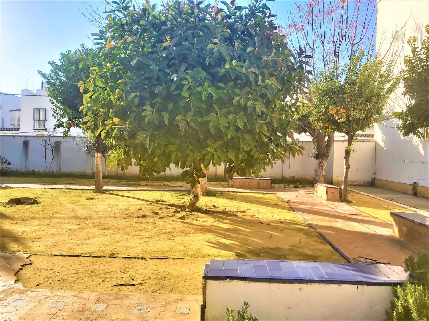Piso en Avenida de la Reina Mercedes, 58, Reina Mercedes - Heliópolis - Foto 14